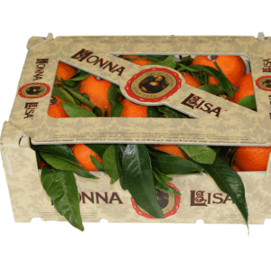 Clementinas Hoja Monna Lisa 29.5x19.5x10