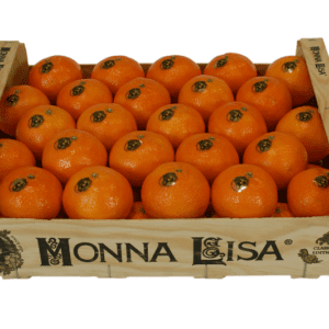 Clementinas Monna Lisa 40x30x11