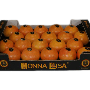 Pomelos Monna Lisa 60x40x11