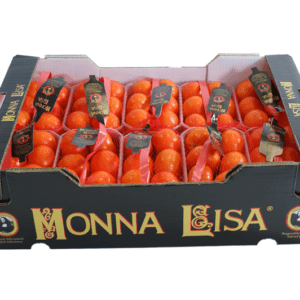 Clementinas Monna Lisa 60x40x15