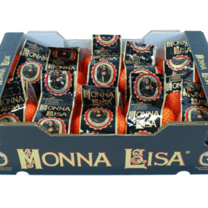 Clementinas Monna Lisa 60x40x23
