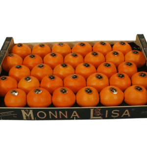 Naranjas Monna Lisa 60x40x9
