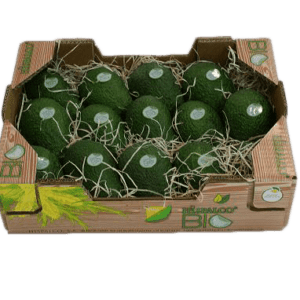 Aguacates Hispalco Bio 40x30x9