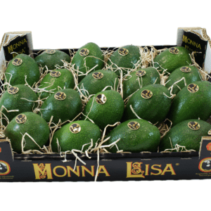 Aguacates Monna Lisa 40x30x9