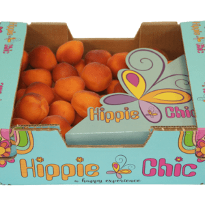 Albaricoques Hippie Chic 40x30x12