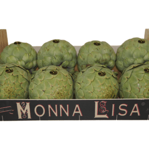 Alcachofas Monna Lisa 50x30x13