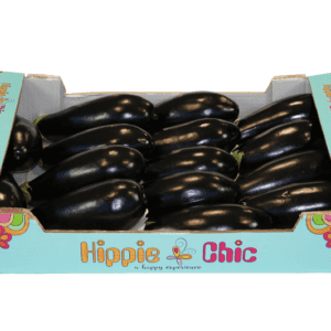 Berenjenas Hippie Chic 60x40x11