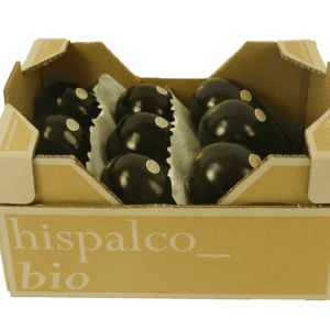 Berenjenas Hispalco Bio 40x30x20.5