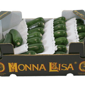 calabacines-monna-lisa-40x30x14