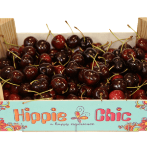 Cerezas Hippie Chic 29.5x24.5x9.5