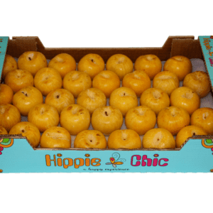 Ciruelas Hippie Chic 50x30x9