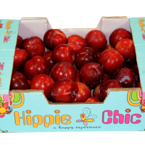 Ciruelas Hippie Chic 40x30x14