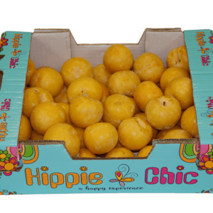 Ciruelas Hippie Chic 40x30x14