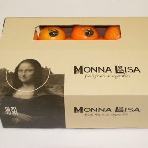 Clementina Monna Lisa 29.3x19.3x8.8
