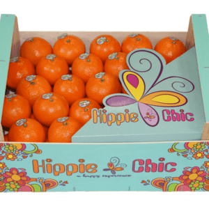 Clementinas Hippie Chic 40x30x18