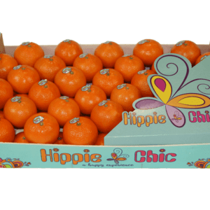 Clementinas Hippie Chic 50x30x11