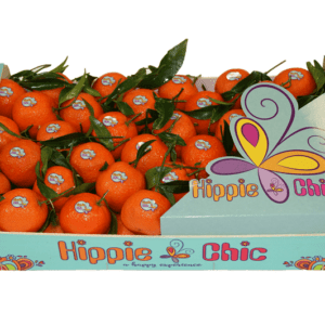 Clementinas Hippie Chic 50x30x11