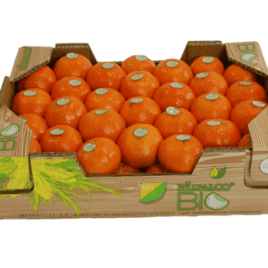 Clementinas Hispalco Bio 40x30x12