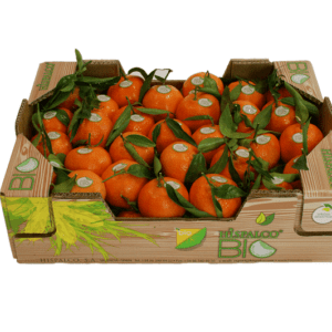 Clementinas hoja Hispalco Bio 40x30x12