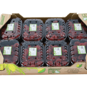 Frambuesas Hispalco Bio 40x30x7