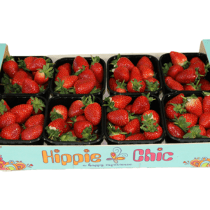 Fresas Hippie Chic 50x30x13