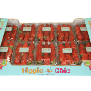 Fresas Hippie Chic 60x40x9
