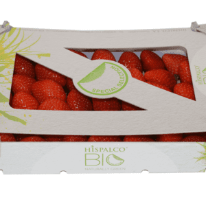 Fresas Hispalco Bio 29.5x19.5x7
