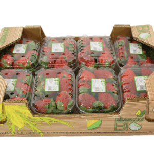 Fresas Hispalco Bio 40x30x10