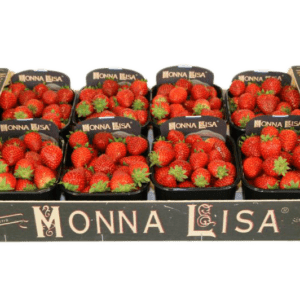 Fresas Monna Lisa 50x30x13