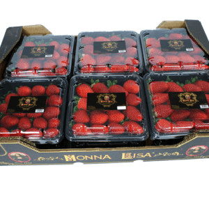 Fresas Monna Lisa 60x30x13