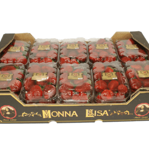 Fresas Monna Lisa 60x40x11
