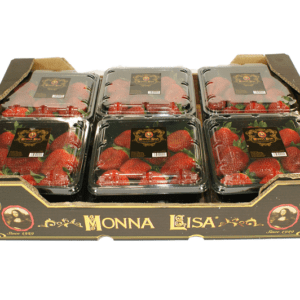 Fresas Monna Lisa 60x40x13