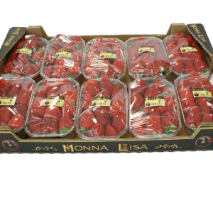 Fresas Monna Lisa 60x40x9