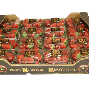 Fresas Monna Lisa 60x40x9
