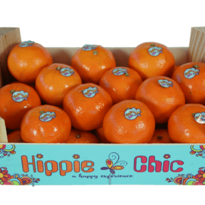 Hippie Chic Clementinas 29.5x19.5x10