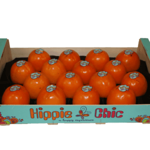 Kakis Hippie Chic 50x30x11