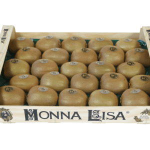 Kiwis Monna Lisa 40x30x6.5