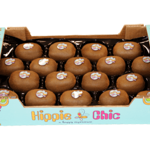 Kiwis Hippie Chic 40x30x9.5