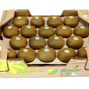 Kiwis Hispalco Bio 40x30x11