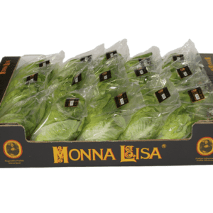 Lechugas Romana Monna Lisa 60x40x15