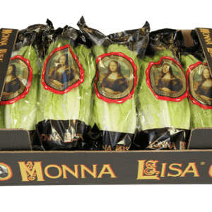 Lechugas Romana Monna Lisa 60x40x18