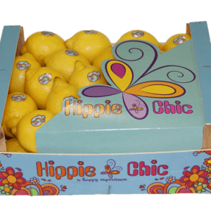 Limones Hippie Chic 32x27x12