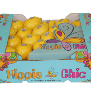 Limones Hippie Chic 40x30x14
