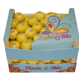 Limones Hippie Chic 40x30x24,5