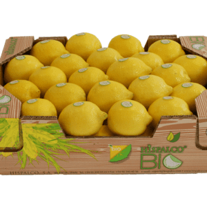 Limones Hispalco Bio 40x30x12