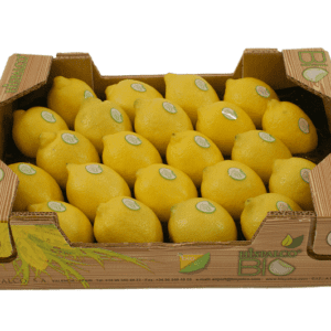 Limones Hispalco Bio 40x30x9