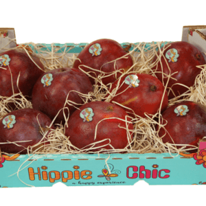 Mangos Hippie Chic 39x26x10.5