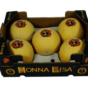 Melon Galia Monna Lisa 40x30x14