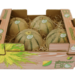 Melones Cantaloup Hispalco Bio 40x30x20.5