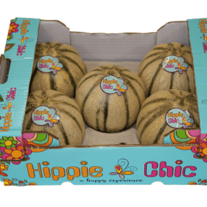 Melones Charentais Hippie Chic 40x30x14
